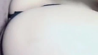新任女教師