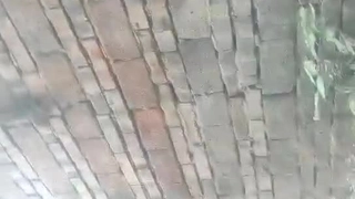 婀娜艺舞，互相安慰
