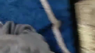 舞蹈培训班老师兼职，一字马，高抬腿，各种高难度性交