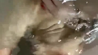 亚洲女人被黑人巨大猛进这视角拍摄真绝了！丝袜学生一边自慰一遍看直播，高能约炮！